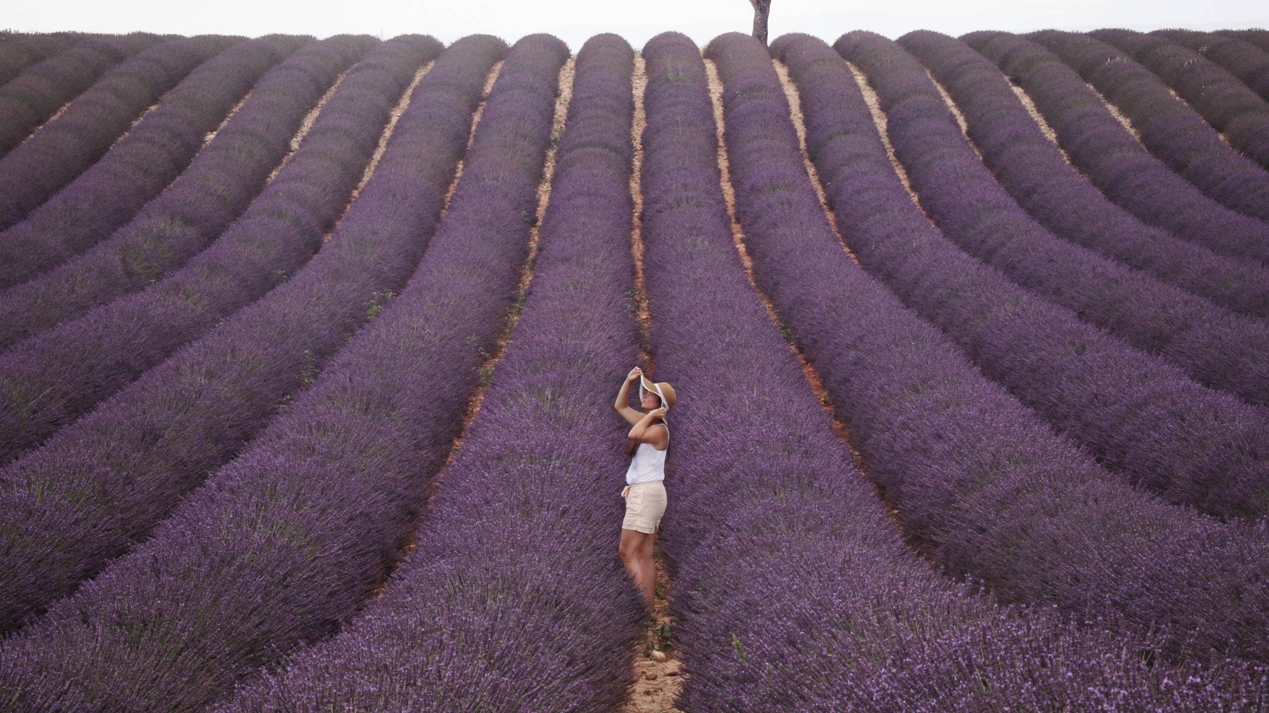 Hotel-Tuscania-Panoramico-Tuscania-Viterbo-panorama-lavanda-2